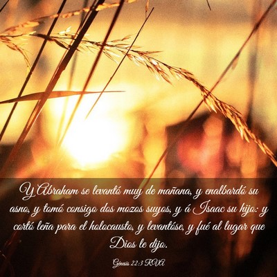 Picture 03 - Génesis 22:3 RVA - Y Abraham se levantó muy de mañana, y - Bible Verse Picture