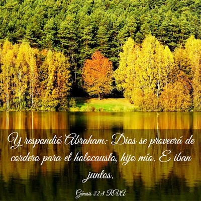 Picture 03 - Génesis 22:8 RVA - Y respondió Abraham: Dios se proveerá de - Bible Verse Picture