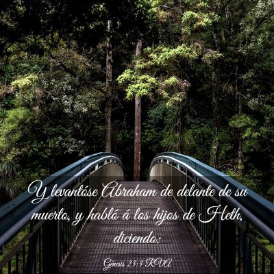 Picture 03 - Génesis 23:3 RVA - Y levantóse Abraham de delante de su muerto, y - Bible Verse Picture