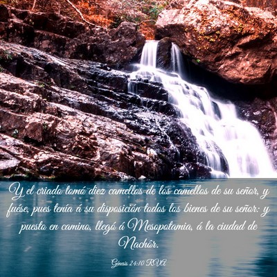 Picture 03 - Génesis 24:10 RVA - Y el criado tomó diez camellos de los camellos - Bible Verse Picture