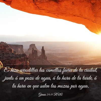 Picture 03 - Génesis 24:11 RVA - E hizo arrodillar los camellos fuera de la - Bible Verse Picture