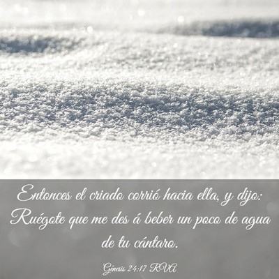Picture 03 - Génesis 24:17 RVA - Entonces el criado corrió hacia ella, y dijo: - Bible Verse Picture