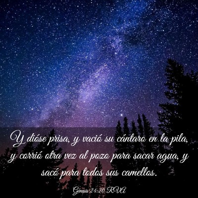 Picture 03 - Génesis 24:20 RVA - Y dióse prisa, y vació su cántaro en la pila, - Bible Verse Picture