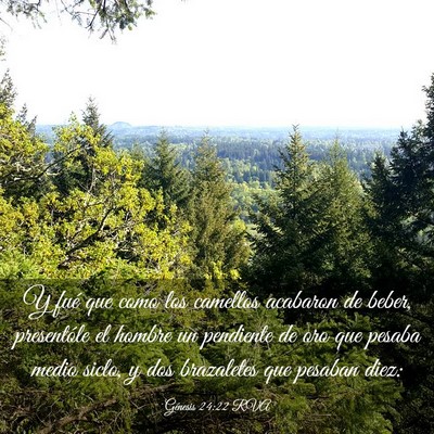 Picture 03 - Génesis 24:22 RVA - Y fué que como los camellos acabaron de beber, - Bible Verse Picture