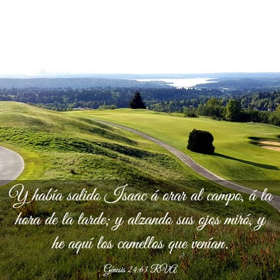 Picture 03 - Génesis 24:63 RVA - Y había salido Isaac á orar al campo, á la - Bible Verse Picture