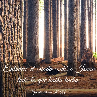 Picture 03 - Génesis 24:66 RVA - Entonces el criado contó á Isaac todo lo que - Bible Verse Picture