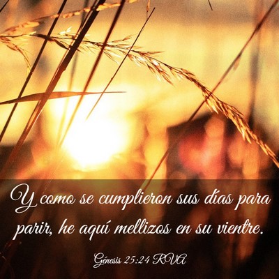 Picture 03 - Génesis 25:24 RVA - Y como se cumplieron sus días para parir, he - Bible Verse Picture