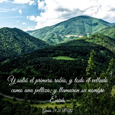 Picture 03 - Génesis 25:25 RVA - Y salió el primero rubio, y todo él velludo - Bible Verse Picture