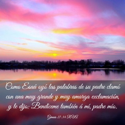 Picture 03 - Génesis 27:34 RVA - Como Esaú oyó las palabras de su padre clamó - Bible Verse Picture