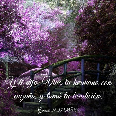 Picture 03 - Génesis 27:35 RVA - Y él dijo: Vino tu hermano con engaño, y tomó - Bible Verse Picture