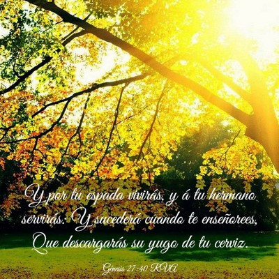 Picture 03 - Génesis 27:40 RVA - Y por tu espada vivirás, y á tu hermano - Bible Verse Picture