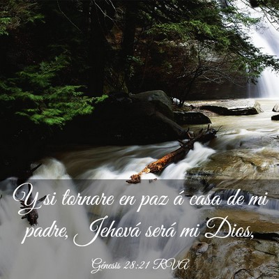 Picture 03 - Génesis 28:21 RVA - Y si tornare en paz á casa de mi padre, Jehová - Bible Verse Picture