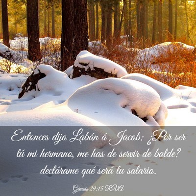 Picture 03 - Génesis 29:15 RVA - Entonces dijo Labán á Jacob: ¿Por ser tú mi - Bible Verse Picture