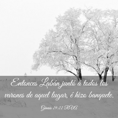 Picture 03 - Génesis 29:22 RVA - Entonces Labán juntó á todos los varones de - Bible Verse Picture