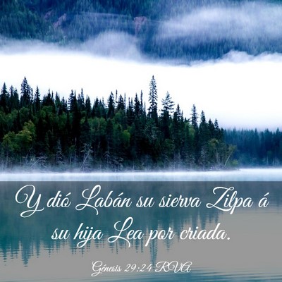 Picture 03 - Génesis 29:24 RVA - Y dió Labán su sierva Zilpa á su hija Lea por - Bible Verse Picture