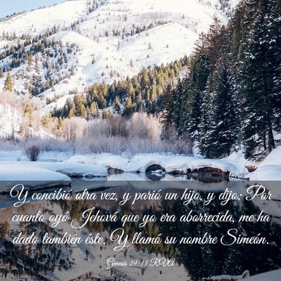 Picture 03 - Génesis 29:33 RVA - Y concibió otra vez, y parió un hijo, y dijo: - Bible Verse Picture