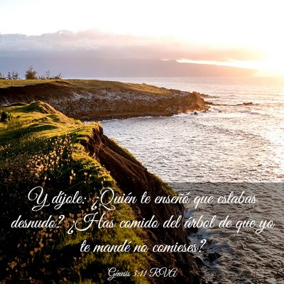 Picture 03 - Génesis 3:11 RVA - Y díjole: ¿Quién te enseñó que estabas - Bible Verse Picture