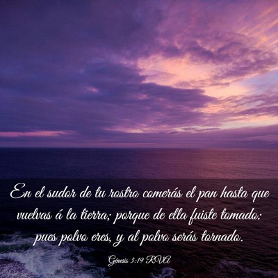 Picture 03 - Génesis 3:19 RVA - En el sudor de tu rostro comerás el pan hasta - Bible Verse Picture