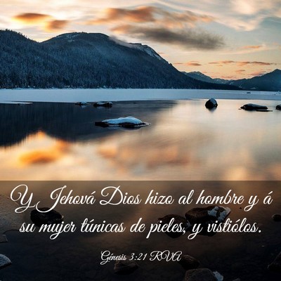 Picture 03 - Génesis 3:21 RVA - Y Jehová Dios hizo al hombre y á su mujer - Bible Verse Picture
