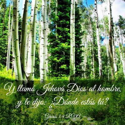 Picture 03 - Génesis 3:9 RVA - Y llamó Jehová Dios al hombre, y le dijo: - Bible Verse Picture
