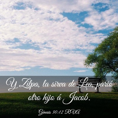 Picture 03 - Génesis 30:12 RVA - Y Zilpa, la sirva de Lea, parió otro hijo á - Bible Verse Picture