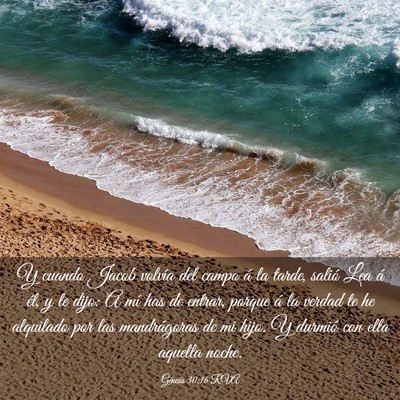 Picture 03 - Génesis 30:16 RVA - Y cuando Jacob volvía del campo á la tarde, - Bible Verse Picture