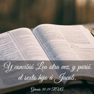 Picture 03 - Génesis 30:19 RVA - Y concibió Lea otra vez, y parió el sexto hijo - Bible Verse Picture