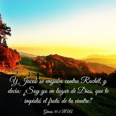 Picture 03 - Génesis 30:2 RVA - Y Jacob se enojaba contra Rachêl, y decía: - Bible Verse Picture
