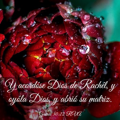 Picture 03 - Génesis 30:22 RVA - Y acordóse Dios de Rachêl, y oyóla Dios, y - Bible Verse Picture