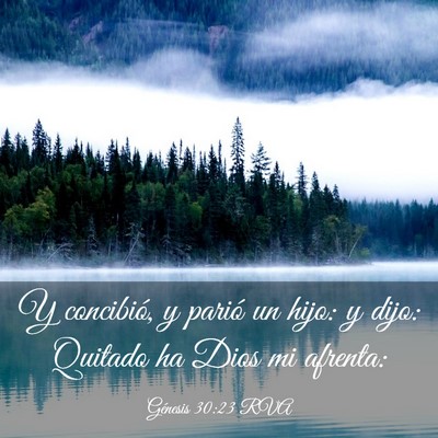 Picture 03 - Génesis 30:23 RVA - Y concibió, y parió un hijo: y dijo: Quitado ha - Bible Verse Picture