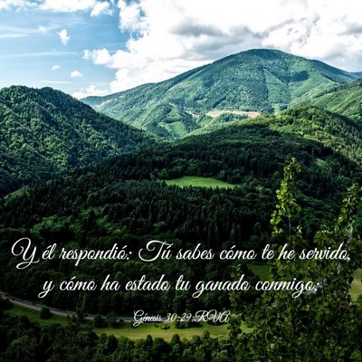 Picture 03 - Génesis 30:29 RVA - Y él respondió: Tú sabes cómo te he servido, - Bible Verse Picture