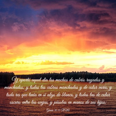 Picture 03 - Génesis 30:35 RVA - Y apartó aquel día los machos de cabrío - Bible Verse Picture