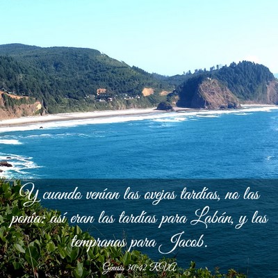 Picture 03 - Génesis 30:42 RVA - Y cuando venían las ovejas tardías, no las - Bible Verse Picture