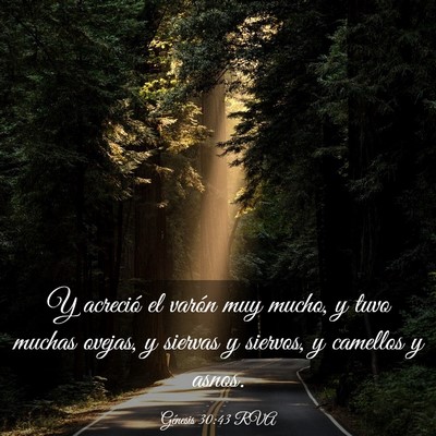 Picture 03 - Génesis 30:43 RVA - Y acreció el varón muy mucho, y tuvo muchas - Bible Verse Picture
