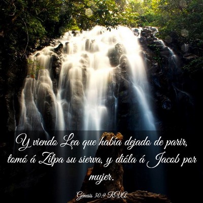 Picture 03 - Génesis 30:9 RVA - Y viendo Lea que había dejado de parir, tomó á - Bible Verse Picture