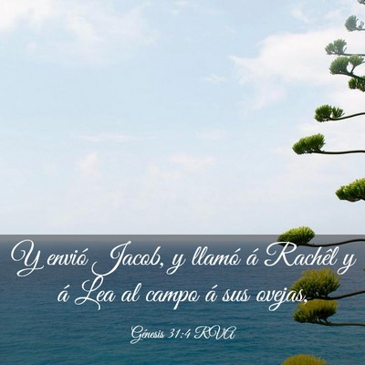 Picture 03 - Génesis 31:4 RVA - Y envió Jacob, y llamó á Rachêl y á Lea al - Bible Verse Picture