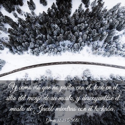 Picture 03 - Génesis 32:25 RVA - Y como vió que no podía con él, tocó en el - Bible Verse Picture
