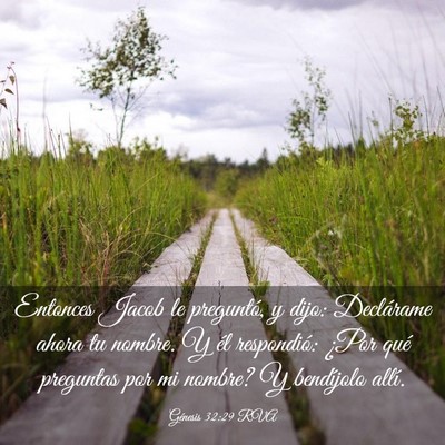 Picture 03 - Génesis 32:29 RVA - Entonces Jacob le preguntó, y dijo: Declárame - Bible Verse Picture