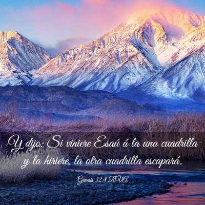 Picture 03 - Génesis 32:8 RVA - Y dijo: Si viniere Esaú á la una cuadrilla y la - Bible Verse Picture