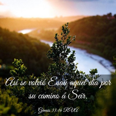 Picture 03 - Génesis 33:16 RVA - Así se volvió Esaú aquel día por su camino á - Bible Verse Picture
