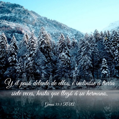 Picture 03 - Génesis 33:3 RVA - Y él pasó delante de ellos, é inclinóse á - Bible Verse Picture