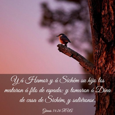Picture 03 - Génesis 34:26 RVA - Y á Hamor y á Sichêm su hijo los mataron á - Bible Verse Picture