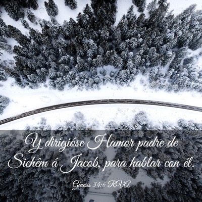 Picture 03 - Génesis 34:6 RVA - Y dirigióse Hamor padre de Sichêm á Jacob, - Bible Verse Picture
