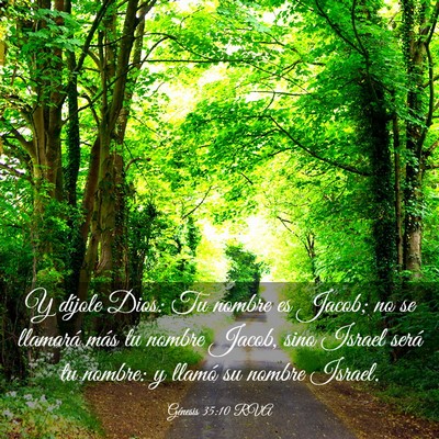 Picture 03 - Génesis 35:10 RVA - Y díjole Dios: Tu nombre es Jacob; no se - Bible Verse Picture