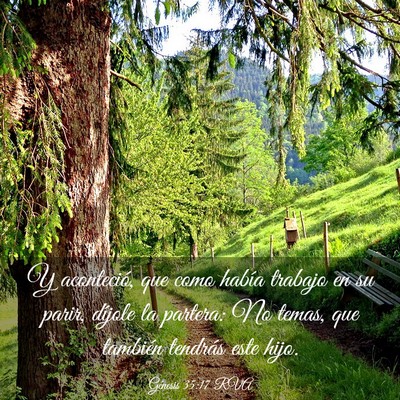 Picture 03 - Génesis 35:17 RVA - Y aconteció, que como había trabajo en su - Bible Verse Picture