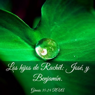 Picture 03 - Génesis 35:24 RVA - Los hijos de Rachêl: José, y - Bible Verse Picture
