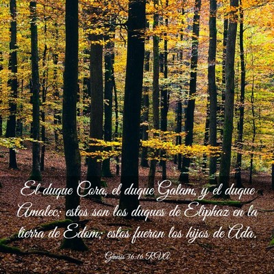 Picture 03 - Génesis 36:16 RVA - El duque Cora, el duque Gatam, y el duque Amalec: - Bible Verse Picture