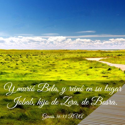 Picture 03 - Génesis 36:33 RVA - Y murió Bela, y reinó en su lugar Jobab, hijo - Bible Verse Picture