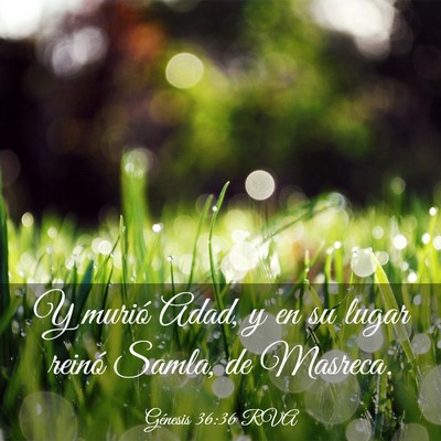 Picture 03 - Génesis 36:36 RVA - Y murió Adad, y en su lugar reinó Samla, de - Bible Verse Picture