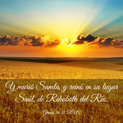 Picture 03 - Génesis 36:37 RVA - Y murió Samla, y reinó en su lugar Saúl, de - Bible Verse Picture